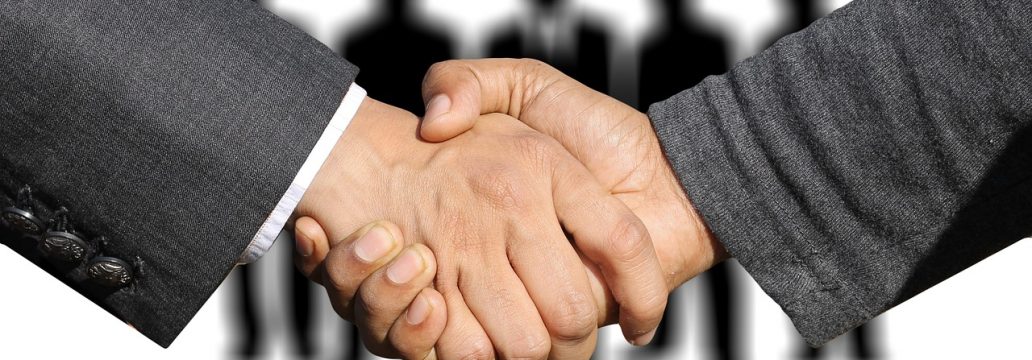 shaking hands, handshake, hands